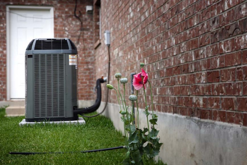 Outdoor AC unit next to pink flowers