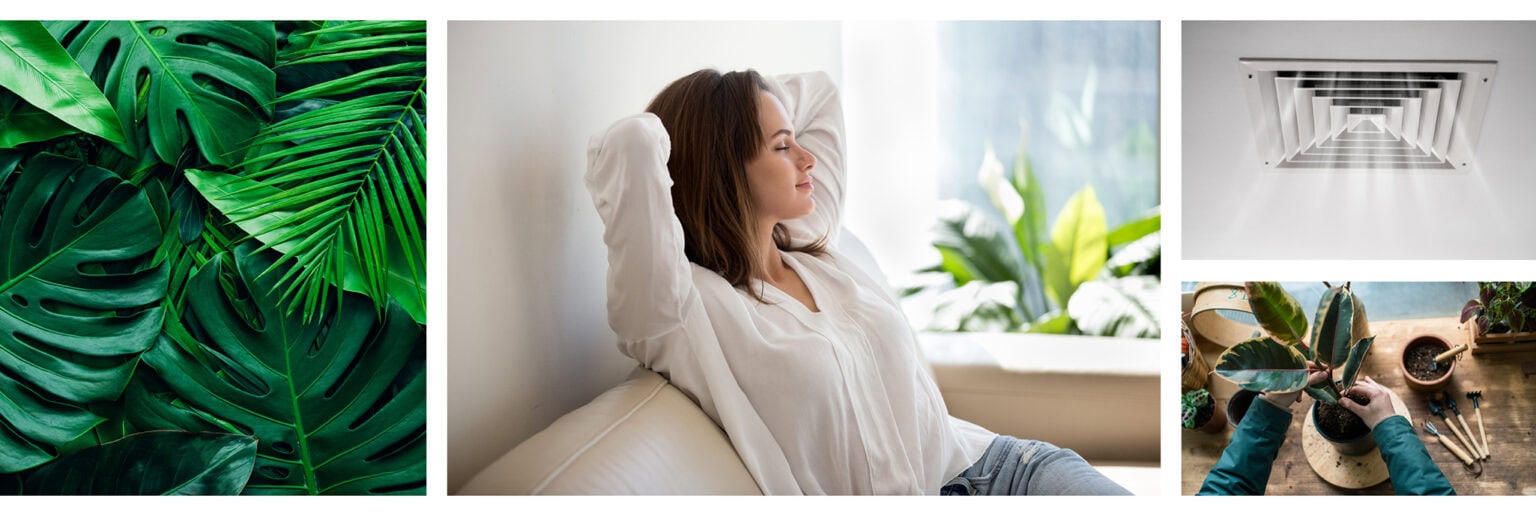 Left: Some green plant leaves overlapping each other. Center: Woman sitting comfortably on a couch with her hands behind her head. Right top: An AC vent. Right bottom: Someone planting a small plant in a pot.